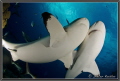   Love is... Yap Island Micronesia is  